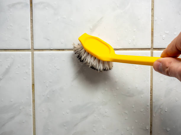 Best Basement Mold Remediation in Rossmoor, CA