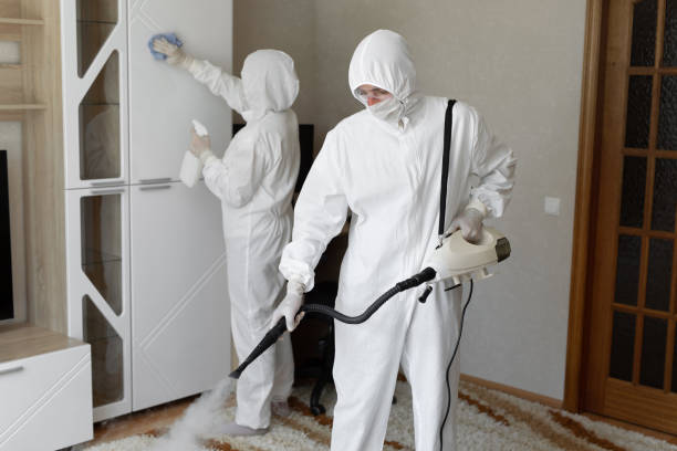 Best Commercial Mold Remediation in Rossmoor, CA